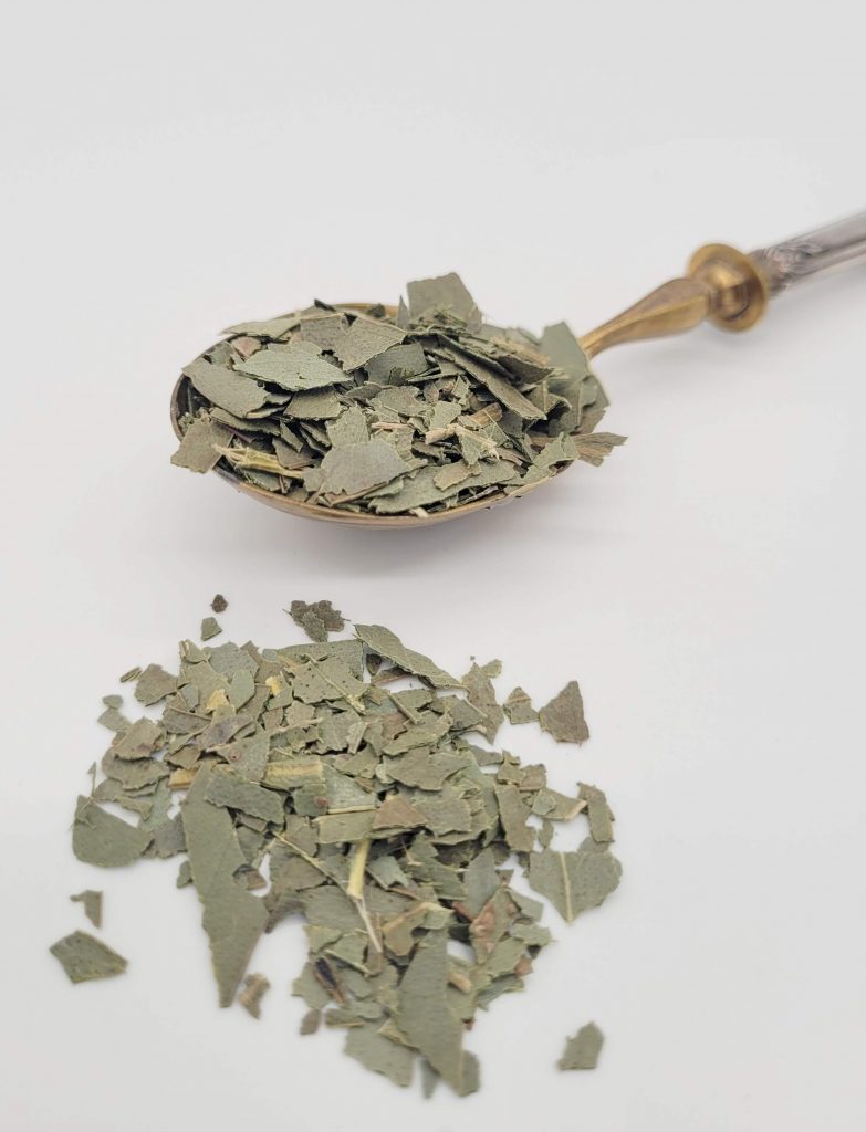 eucalyptus-feuilles-infusion