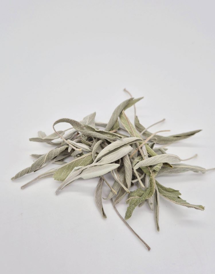 sauge-salvia-digestion-tonus