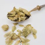 houblon-cones