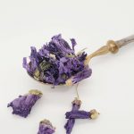 mauve-fleurs