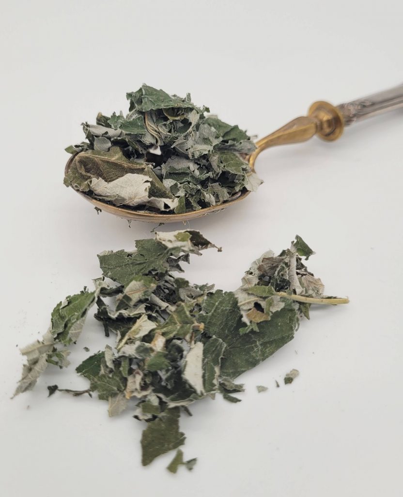 framboisier-feuilles-infusion