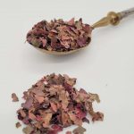 vigne-rouge-infusion