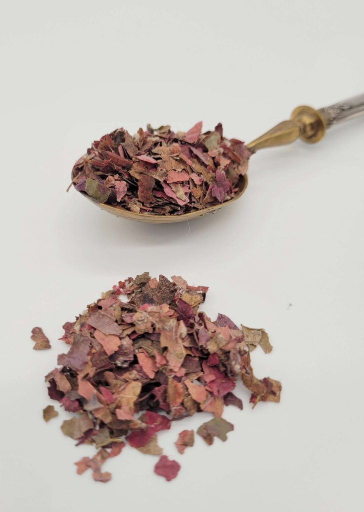 vigne-rouge-infusion