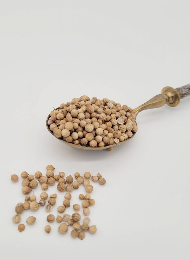 coriandre-graine-digestion-flatulence