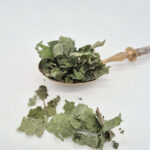 ortie-feuilles-entieres