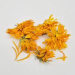 souci-calendula-soin-peau-bio