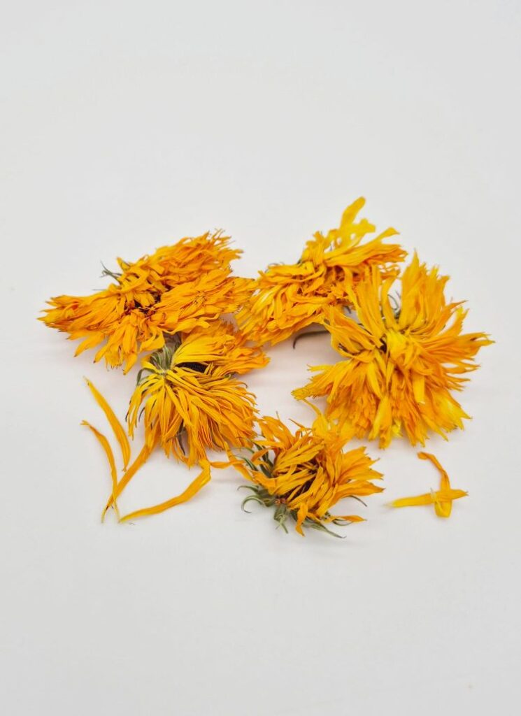souci-calendula-soin-peau-bio