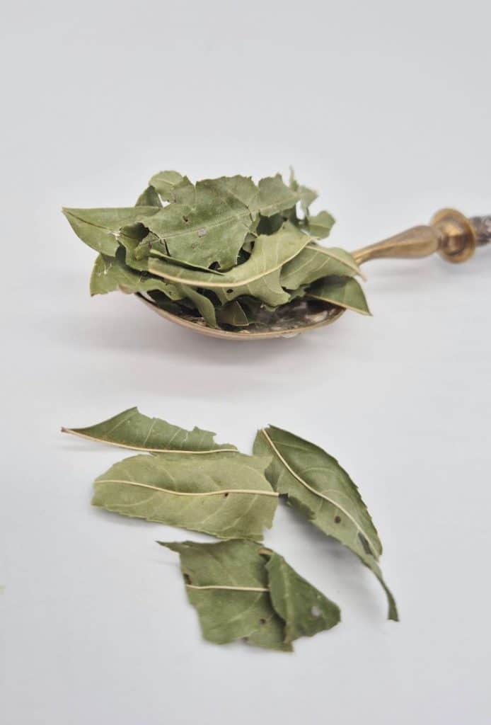 frene-feuille-bio